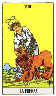 card-6