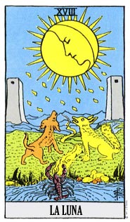 card-20